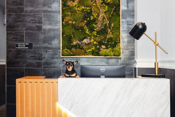 Imagen general del Hotel The Modernist, Long Island City. Foto 3