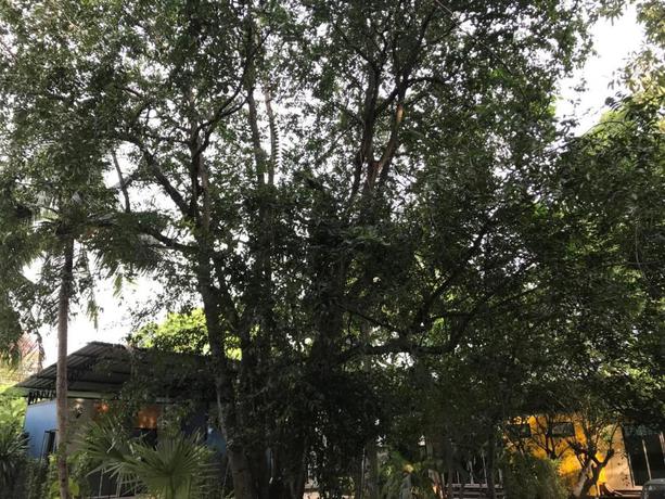 Imagen general del Hotel The Monkey Resort Donheang. Foto 4