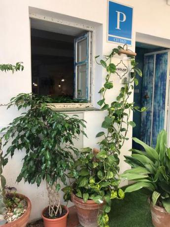 Imagen general del Hotel The Monkey Room. Foto 4