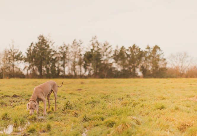 Imagen general del Hotel The Moonraker. Foto 2