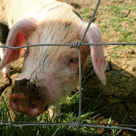 Imagen de los exteriores del Hotel The Moonraker. Foto 9