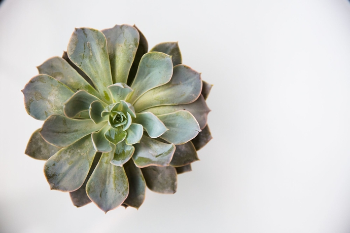 Imagen de los interiores del Hotel The Mosaic - Beverly Hills. Foto 13