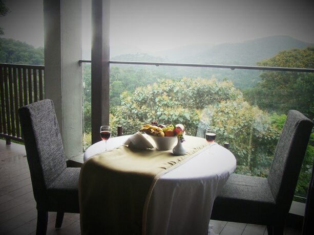 Imagen de la habitación del Hotel The Mountain Courtyard Thekady. Foto 19