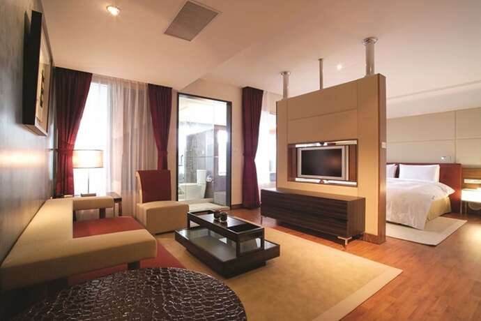 Imagen de la habitación del Hotel The Mountain Star. Foto 10