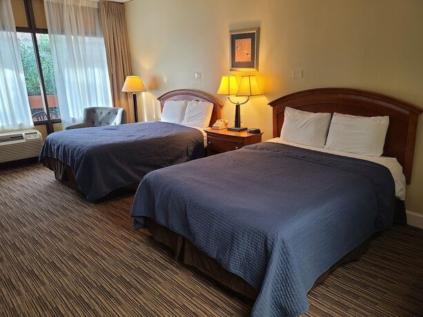 Imagen de la habitación del Hotel The Mountaineer Inn. Foto 20