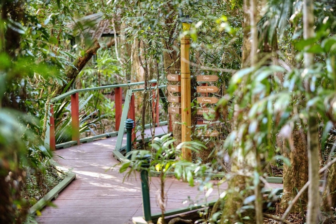Imagen de los interiores del Hotel The Mouses House Rainforest Retreat. Foto 17