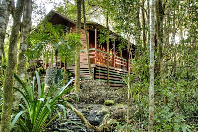 Imagen de la piscina del Hotel The Mouses House Rainforest Retreat. Foto 19