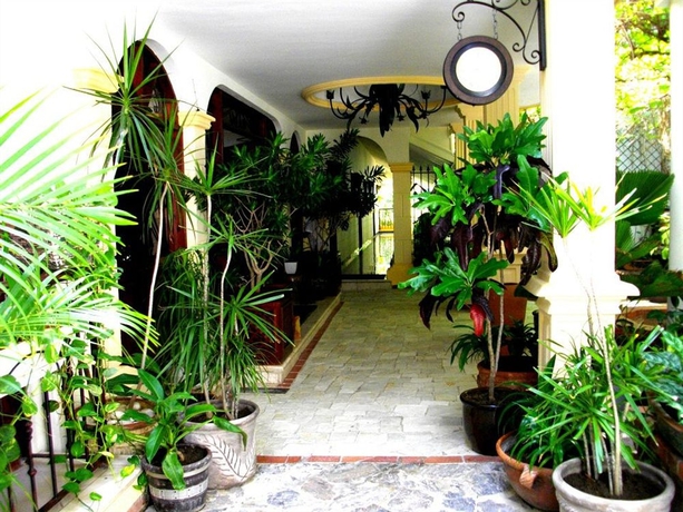 Imagen de los exteriores del Hotel The Mt. Foto 7