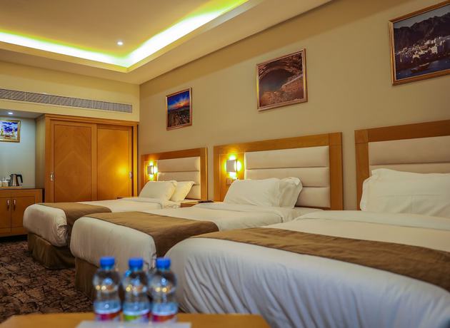 Imagen de la habitación del Hotel The Muscat Plaza. Foto 11