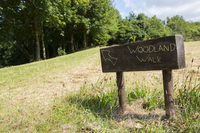 Imagen de los exteriores del Hotel The National Water Sports Centre. Foto 9