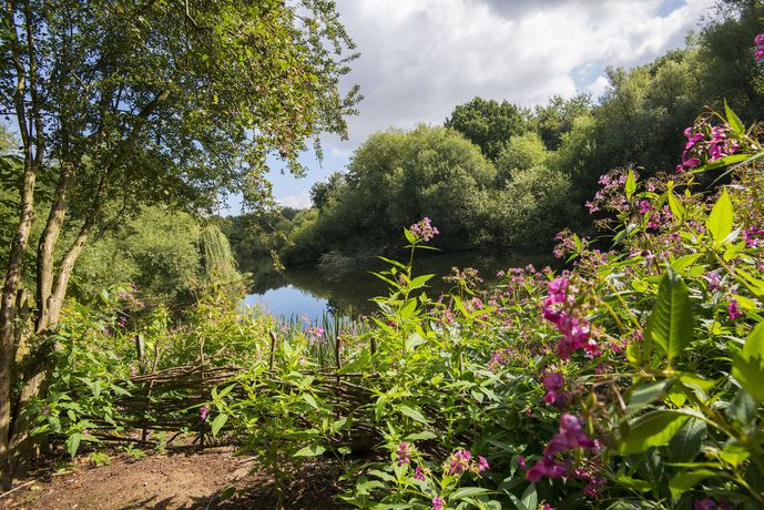 Imagen de los exteriores del Hotel The National Water Sports Centre. Foto 10