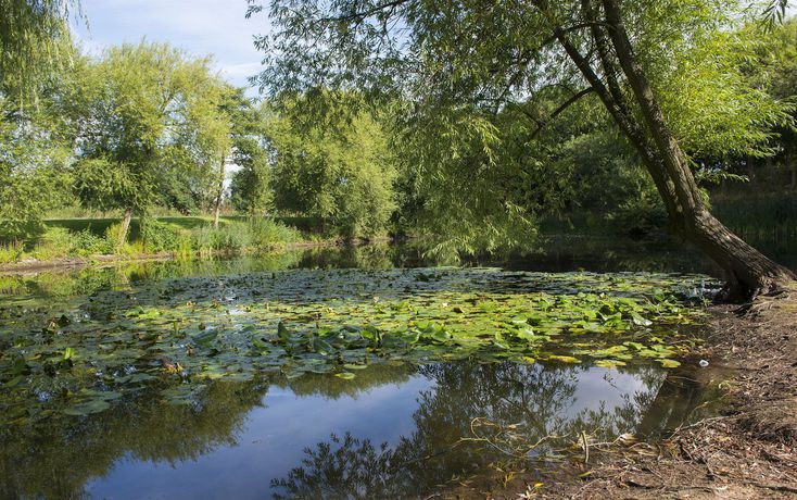 Imagen de los interiores del Hotel The National Water Sports Centre. Foto 15