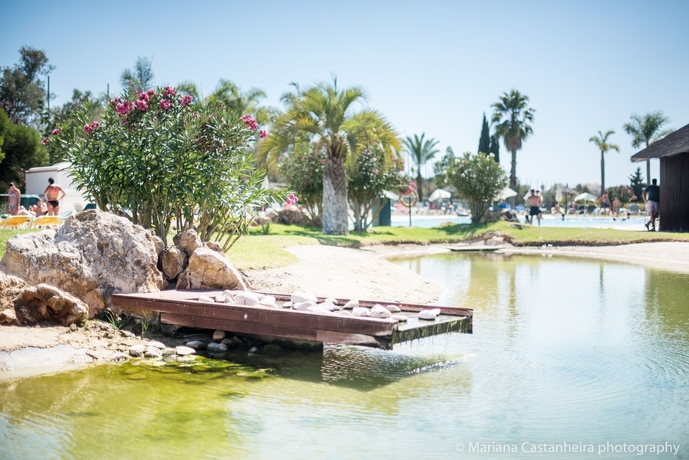 Imagen de los exteriores del Hotel The Navigator- Palm Oasis Alvor. Foto 13