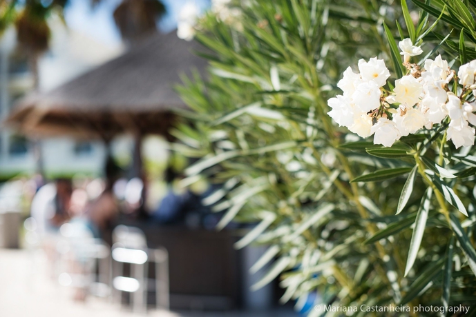 Imagen de los exteriores del Hotel The Navigator- Palm Oasis Alvor. Foto 14