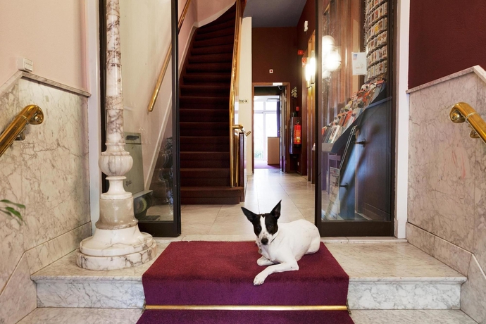 Imagen de los interiores del Hotel The Neighbour's Magnolia. Foto 16