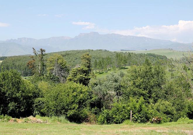 Imagen de la habitación del Hotel The Nest Drakensberg. Foto 9
