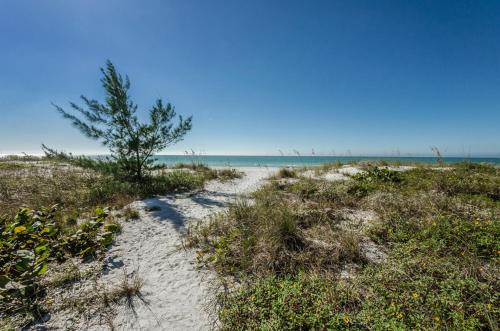 Imagen general del Hotel The New Collection Beachfront. Foto 6