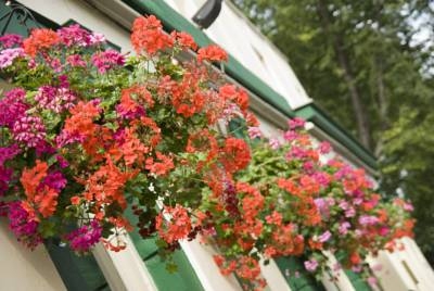 Imagen de los exteriores del Hotel The New Inn. Foto 6