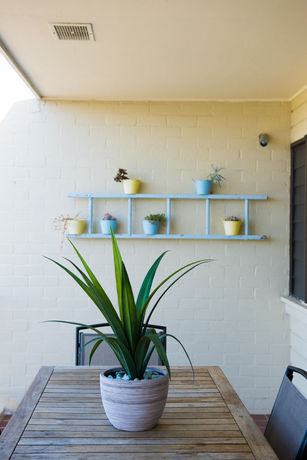 Imagen de los interiores del Hotel The Oasis Apartments and Treetop Houses. Foto 15