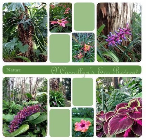 Imagen de los exteriores del Hotel The Oasis At One Mile Beach. Foto 13