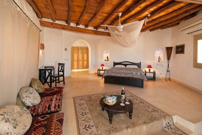 Imagen de la habitación del Hotel The Oasis Dive Resort. Foto 19