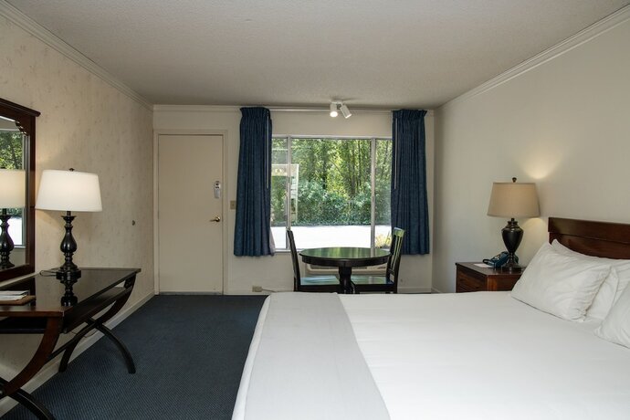 Imagen de la habitación del Hotel The Occidental Lodge. Foto 12