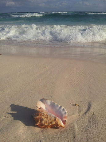 Imagen de los exteriores del Hotel The Ocean Dream Beach Resort. Foto 9