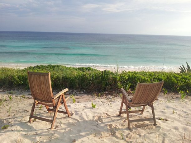 Imagen de los exteriores del Hotel The Ocean Dream Beach Resort. Foto 12