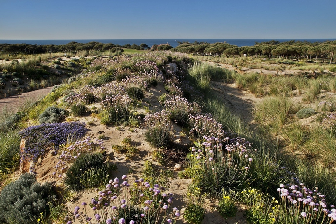 Imagen general del Hotel The Oitavos. Foto 2