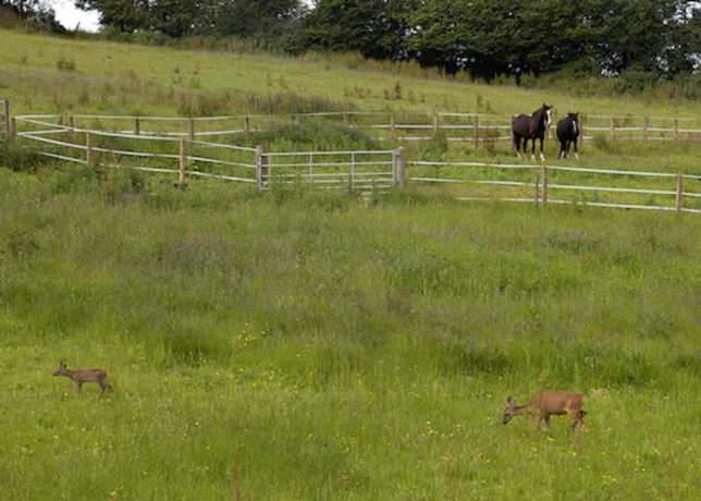 Imagen general del Hotel The Old Malt House. Foto 3
