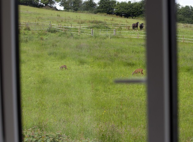 Imagen de la habitación del Hotel The Old Malt House. Foto 13