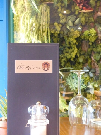 Imagen general del Hotel The Old Red Lion Inn. Foto 3