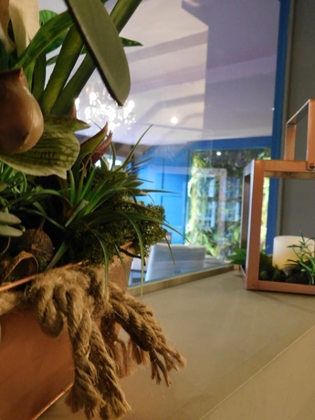 Imagen del bar/restaurante del Hotel The Old Red Lion Inn. Foto 5