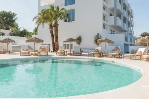Imagen general del Hotel The Olive Boutique Suites and Spa. Foto 12
