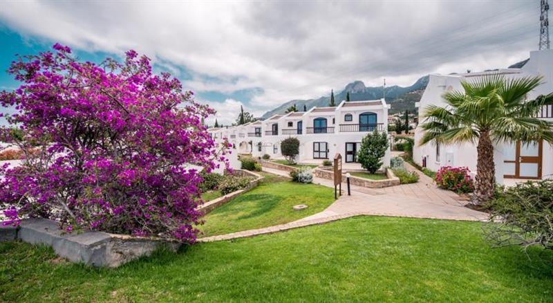 Imagen general del Hotel The Olive Tree. Foto 3