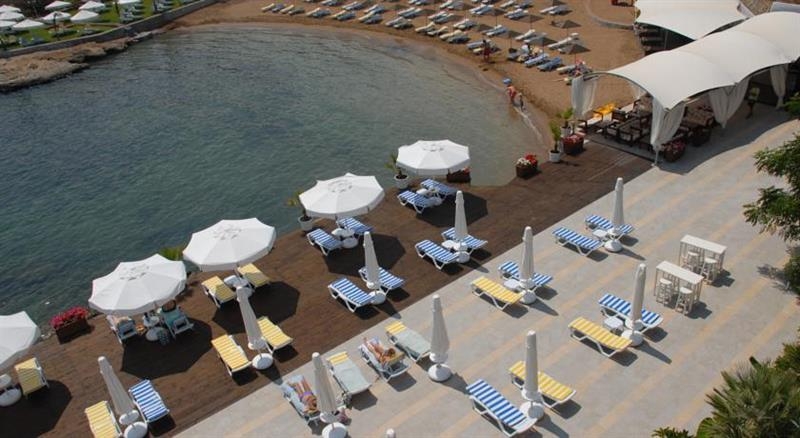 Imagen general del Hotel The Olive Tree. Foto 5