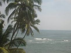 Imagen de los exteriores del Hotel The Orange House, Goa. Foto 9