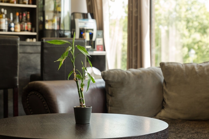 Imagen del bar/restaurante del Hotel The Originals Boutique, Les Quatre Salines. Foto 3