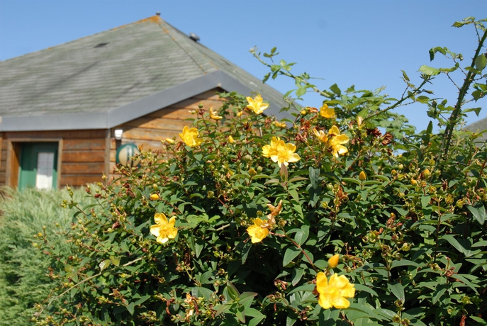 Imagen de los exteriores del Hotel The Originals City, Au Chêne Vert, St-brieuc North. Foto 12