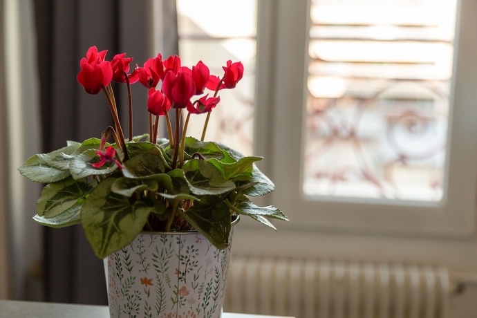 Imagen de los interiores del Hotel The Originals City, Lecourbe, Paris Tour Eiffel (Inter-Hotel). Foto 19