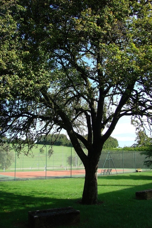 Imagen general del Hotel The Originals City, Rey Du Mont Sion. Foto 4