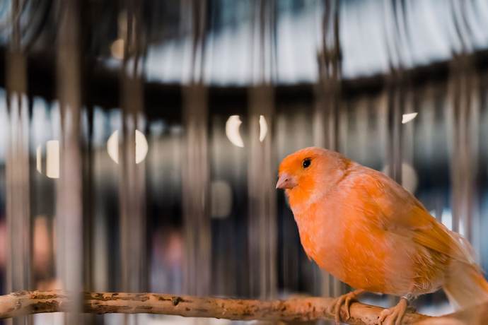 Imagen de los interiores del Hotel The Oxford. Foto 18