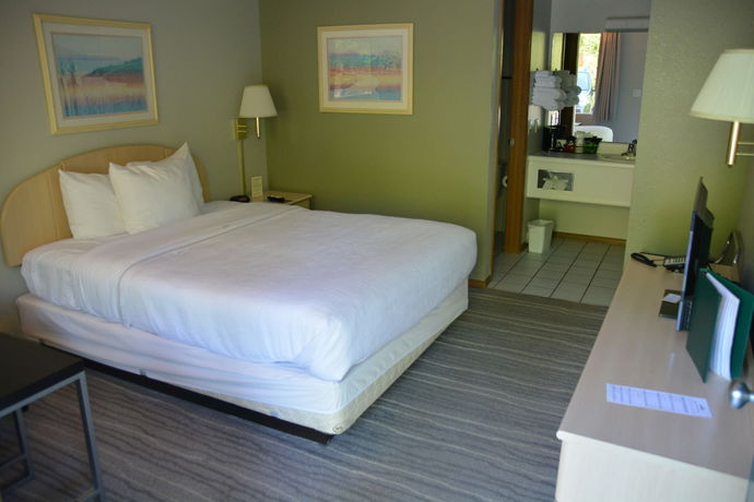 Imagen de la habitación del Hotel The Ozarker Lodge. Foto 5