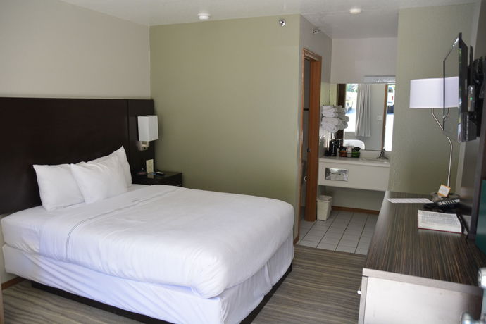 Imagen de la habitación del Hotel The Ozarker Lodge. Foto 8