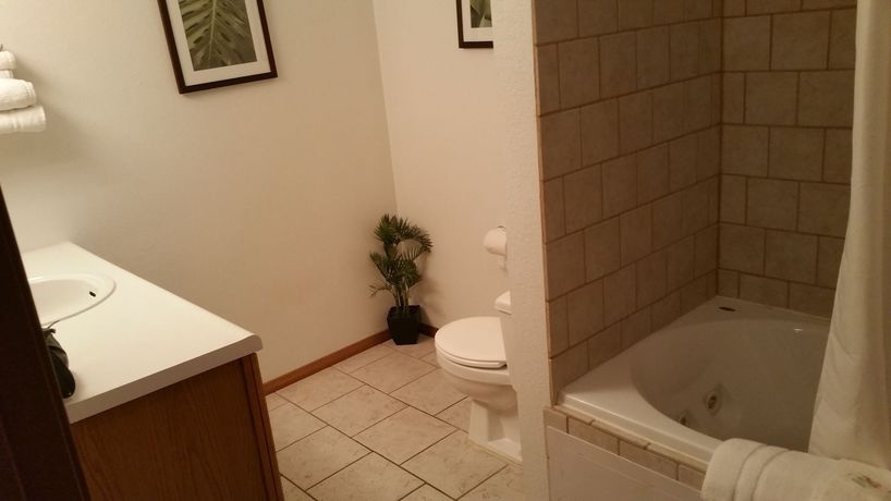 Imagen de la habitación del Hotel The Ozarker Lodge. Foto 15