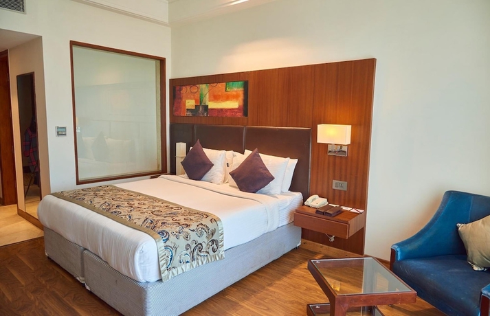 Imagen de la habitación del Hotel The P L Palace Agra. Foto 11