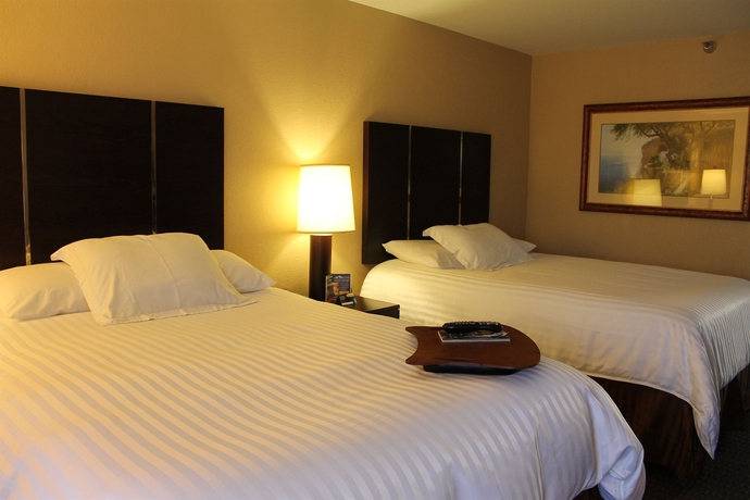 Imagen de la habitación del Hotel The Pacific Inn. Foto 4