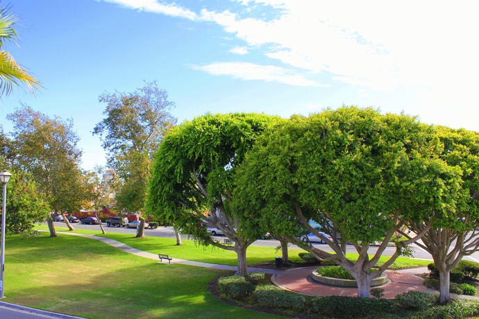 Imagen de la habitación del Hotel The Pacific Inn. Foto 7