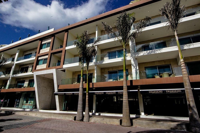 Imagen general del Hotel The Palm At Playa. Foto 14