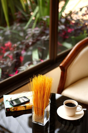 Imagen de los interiores del Hotel The Palm Garden. Foto 13